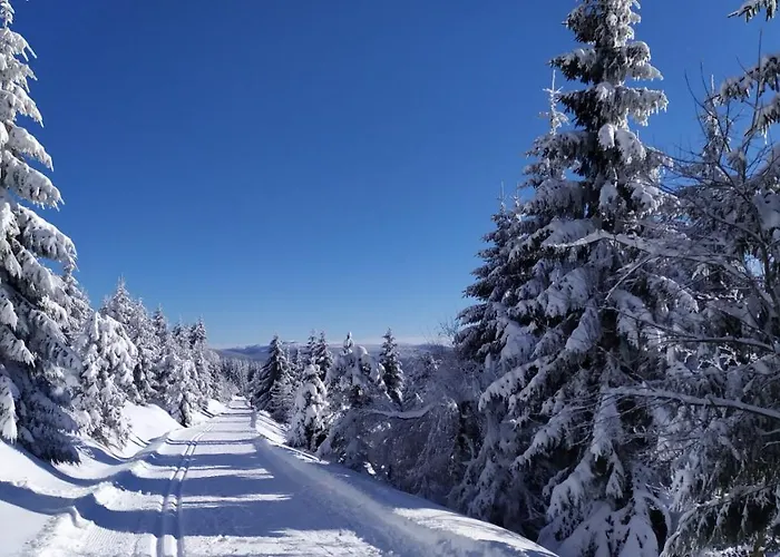 U Potoka * Weissbach